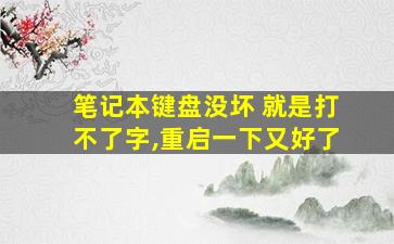 笔记本键盘没坏 就是打不了字,重启一下又好了